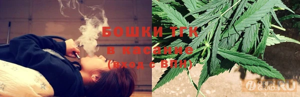 индика Алексин