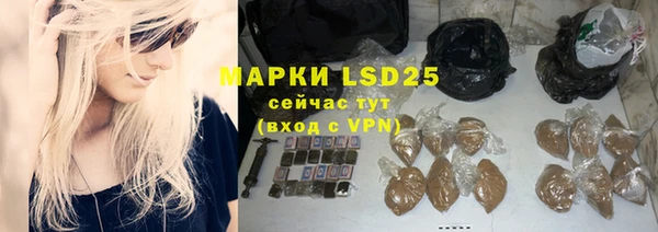 индика Алексин