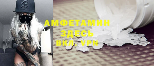 индика Алексин