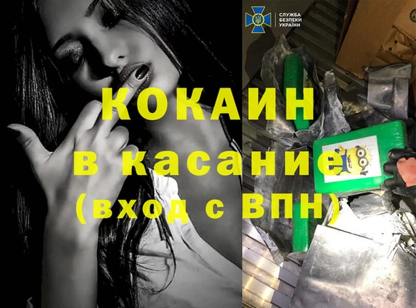 индика Алексин