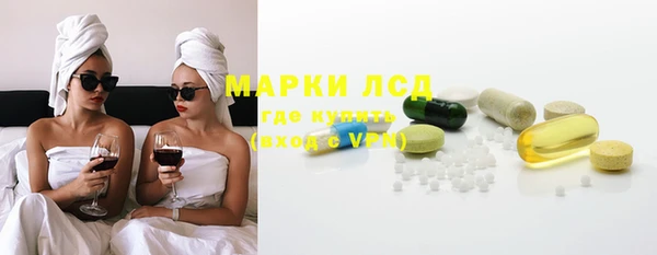 индика Алексин