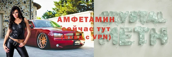 индика Алексин